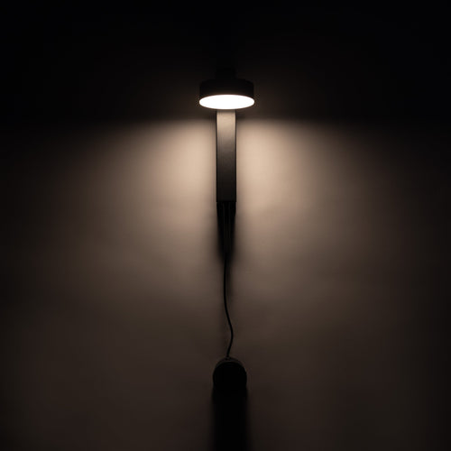 Celine Wall Sconce