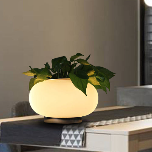 PlantGlow - Oval Table Lamp with Plant Holder and LED Lighting