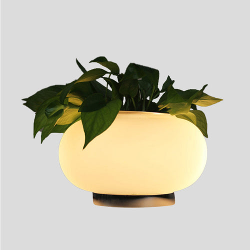 PlantGlow - Oval Table Lamp with Plant Holder and LED Lighting