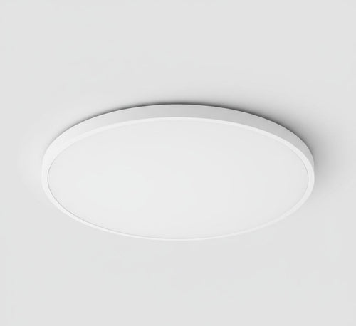 Nordic LED Ceiling Light
