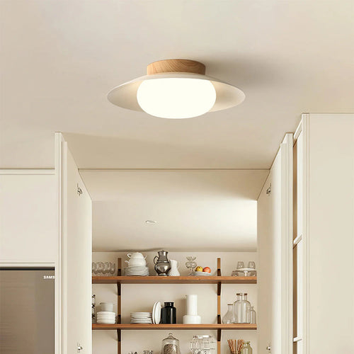 Round Ceiling Light for Bedroom