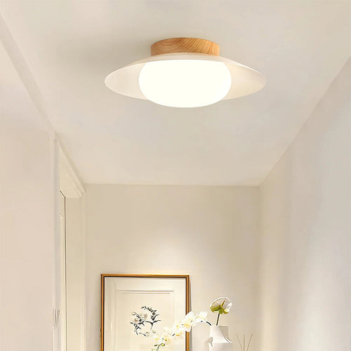 Round Ceiling Light for Bedroom