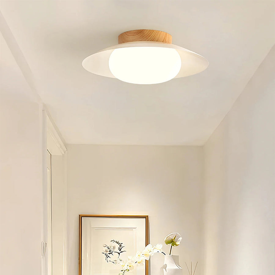 Round Ceiling Light for Bedroom
