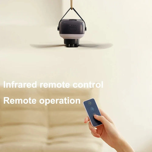 Luxury Ceiling Fan with LED Lighting