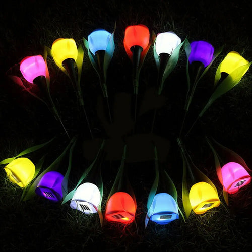 Sunbeam - Solar Blossom Garden Lamps