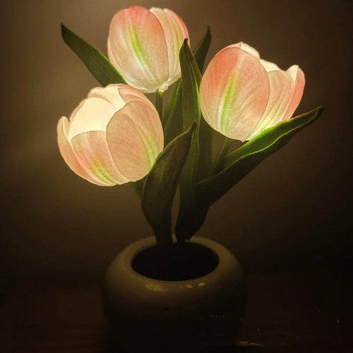 Glowing Tulips Mood Lighting