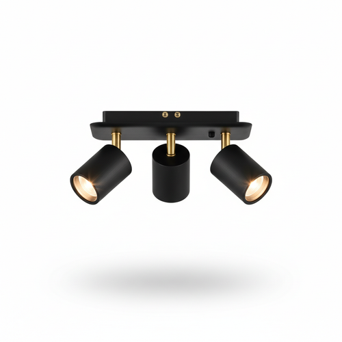 Spot Ceiling Light