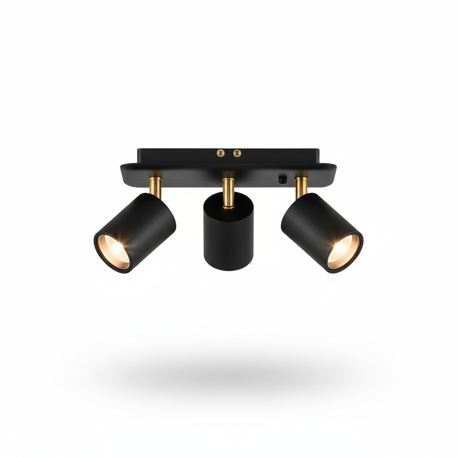 Spot Ceiling Light
