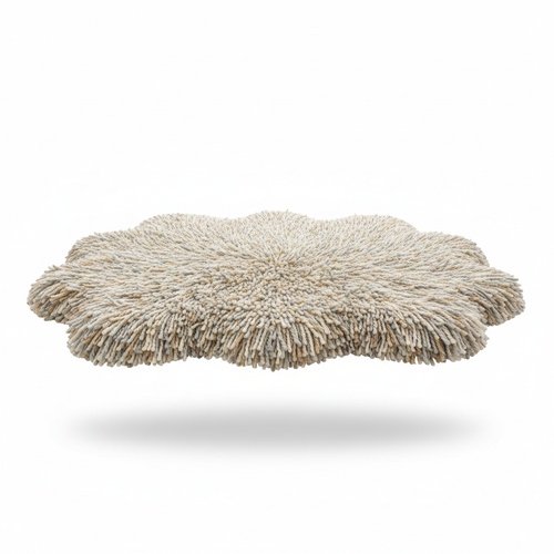 Shaggy Rug